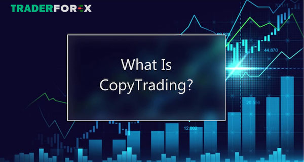 Các nguồn kiếm lợi cho các trader từ copy trade