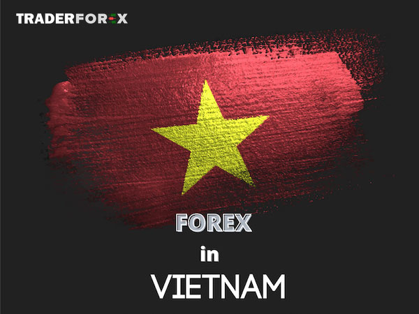 Hoạt động Forex tại thị trường Việt Nam