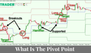 Pivot point là gì
