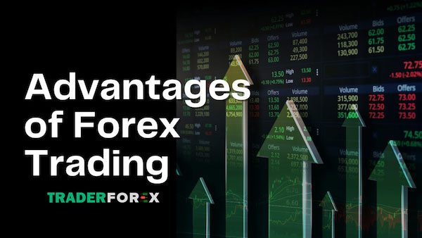 Các ưu điểm của Forex Trading
