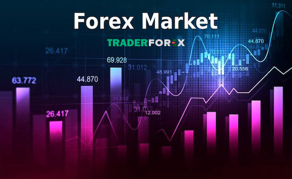 Position tại thị trường Forex