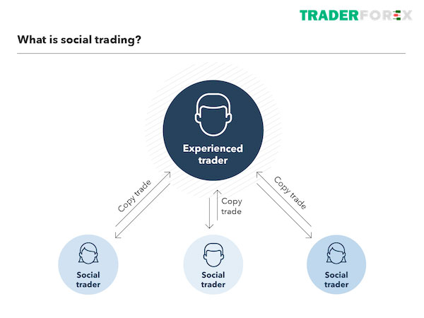 Các sàn Social Trading chất lượng nhất