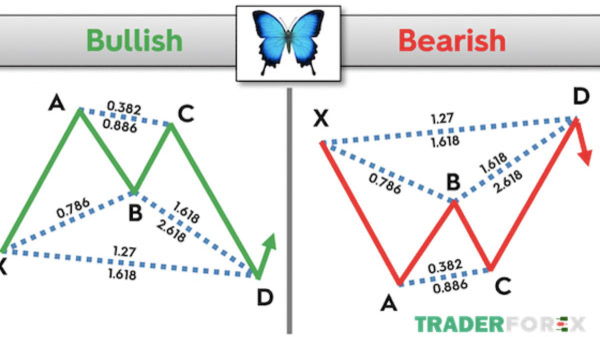 Mô hình Cánh bướm Butterfly Pattern là gì Cách giao dịch