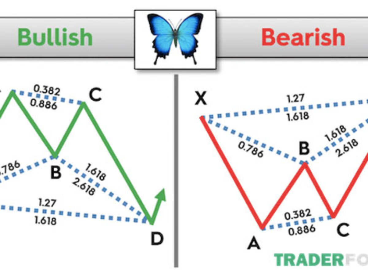 Mô hình cánh bướm là gì Cách giao dịch với Butterfly Pattern