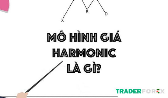 Khái niệm của mô hình giá harmonic