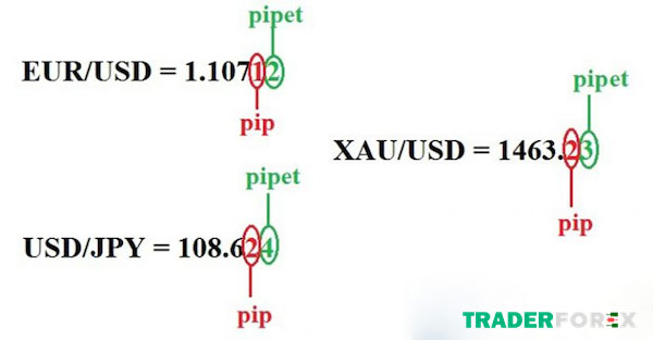 Tỷ giá hối đoái và Pip của một số cặp tiền tương ứng