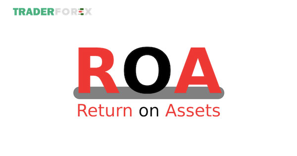 Một vài minh hoạt cụ thể về ROA