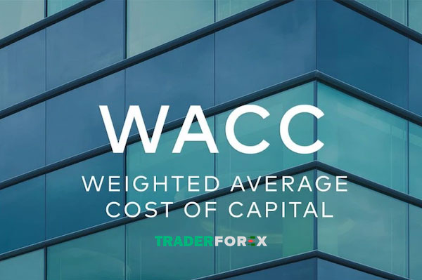 Tìm hiểu chi tiết về WACC