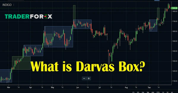 Ngoài việc đầu tư chứng khoán Darvas Box còn phù hợp với giao dịch nào?