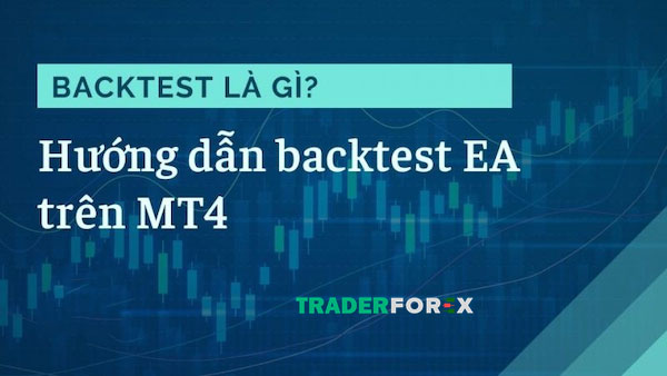 Backtest và mối liên hệ với tradingview