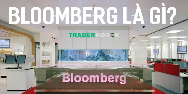 Các nền tảng khác Bloomberg 
