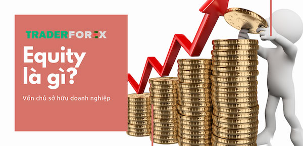 Equity trong thị trường forex là gì?