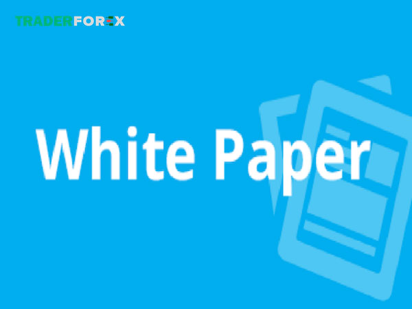 Khái niệm White Paper là gì? 