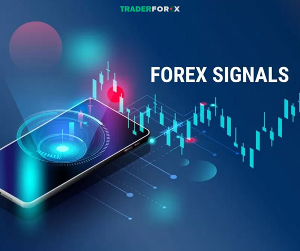 Những điều cần biết về Forex Signal 
