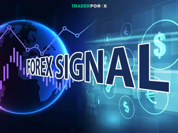 Tín hiệu forex thủ công – Manual Forex Signal