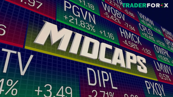 Tổng quát những ưu điểm và nhược điểm của cổ phiếu Midcap