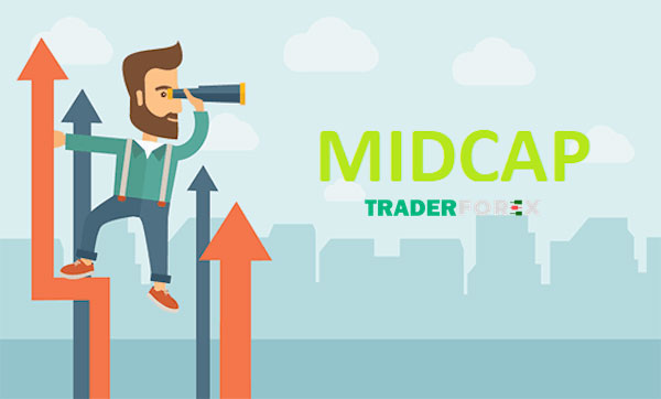 Tìm hiểu chi tiết về cổ phiếu Midcap