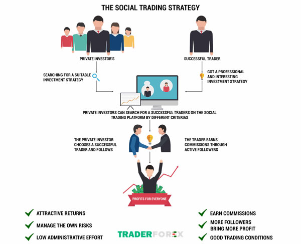 Tại sao Social Trading Exness chưa thật sự hiệu quả