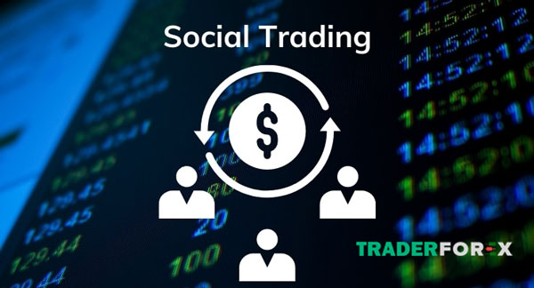 Thực hiện các giao dịch tại Exness Social Trading hiệu quả nhất