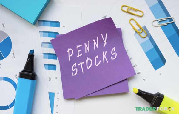 Các dạng cổ phiếu Penny phổ biến 