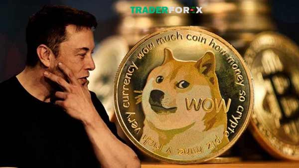 Dự án Meme Coin Dogecoin