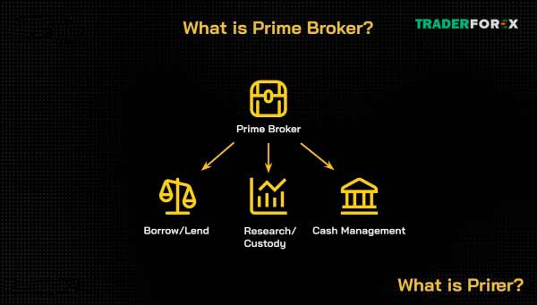 Tìm hiểu tất cả các thông tin về Prime broker là gì?