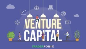 Venture Capital là gì? Những điều cần biết về Venture Capital