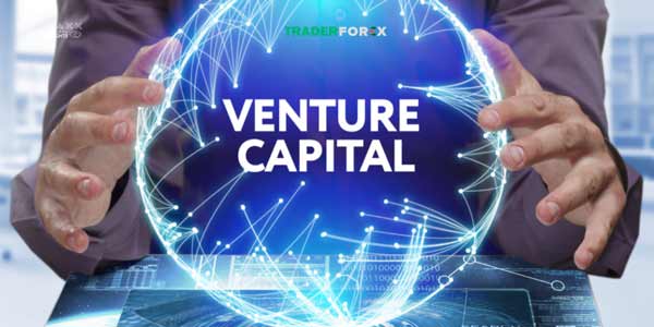 Venture Capital và những điều cần lưu ý