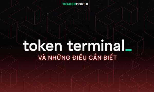 Hệ thống Token Terminal