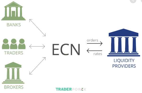 Mọi lệnh giao dịch được thực hiện trên sàn ECN được chuyển thẳng ra thị trường