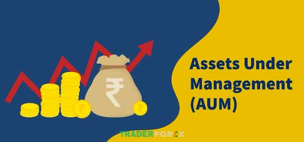 Khái niệm Assets Under Management - AUM là gì?