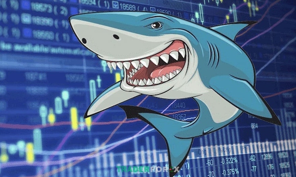 Cá mập trong Forex sở hữu số tiền khổng lồ và có khả năng dịch chuyển thị trường