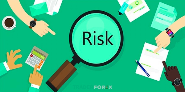 Vì sao nhà đầu tư thường hay không phân biệt được giữa Risk Appetite và Risk Tolerance?