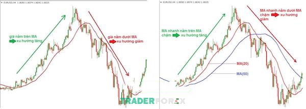 Từ tín hiệu của MA, trader có thể nắm được diễn biến trên thị trường
