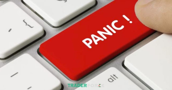 Giải thích hiện tượng Panic sell