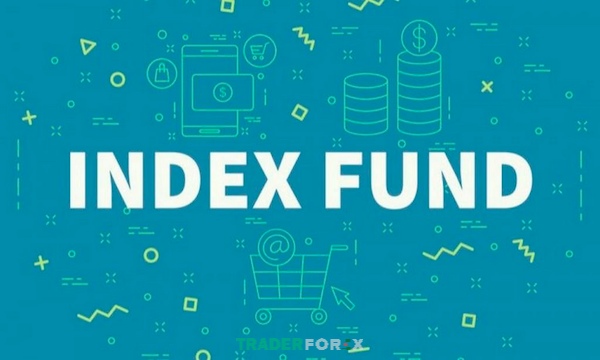 Tìm hiểu Index Fund là gì và thông tin một số quỹ Index Fund ở Việt Nam