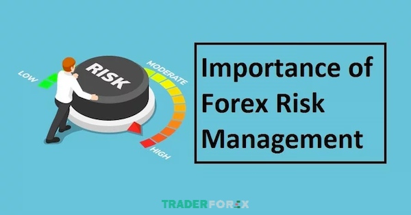 Tầm quan trọng của quản lý rủi ro trong giao dịch forex