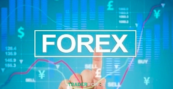 Muốn giao dịch Forex thành công, trader cần phải có kiến thức và kinh nghiệm