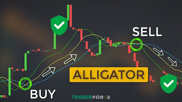 Tìm hiểu chỉ báo Alligator là gì sẽ giúp nhà đầu tư có những giao dịch chính xác hơn